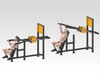 Power Outdoor Shoulder Press / Schulterdrück-Maschine